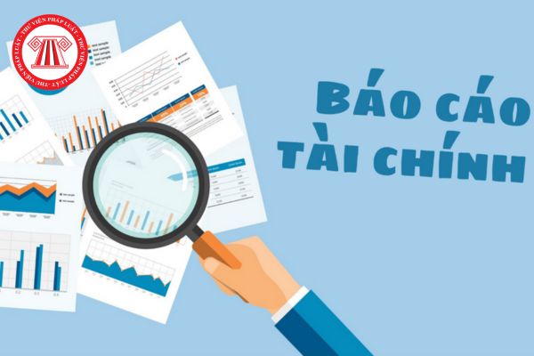 BCTC Soát Xét 6 Tháng Đầu Năm 2024